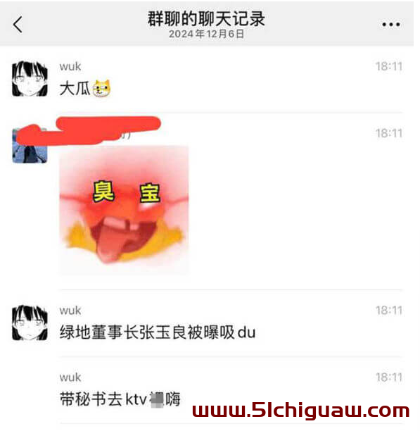 张玉良事件：绿地集团的应对与反思
